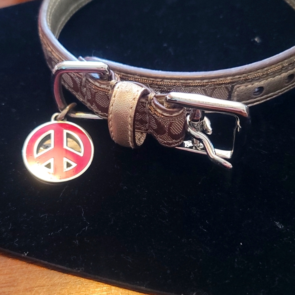 Coach Collar